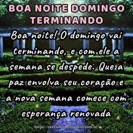 Boa noite! O domingo vai terminando, e com ele a semana se despede. Que a paz envolva seu coração e a nova semana comece com esperança renovada. Boa noite! O domingo vai terminando, e com ele a semana se despede. Que a paz envolva seu coração e a nova semana comece com esperança renovada.