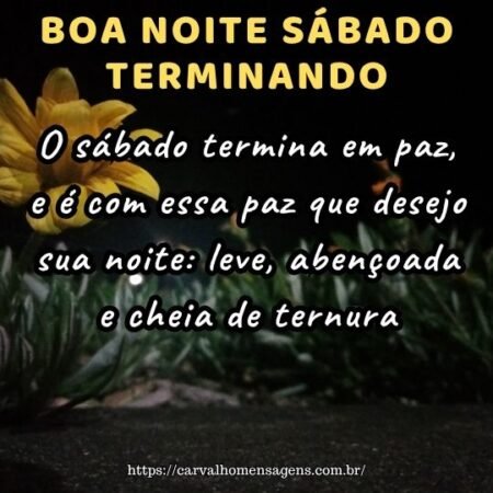 O sábado termina em paz, e é com essa paz que desejo sua noite: leve, abençoada e cheia de ternura. O sábado termina em paz, e é com essa paz que desejo sua noite: leve, abençoada e cheia de ternura.