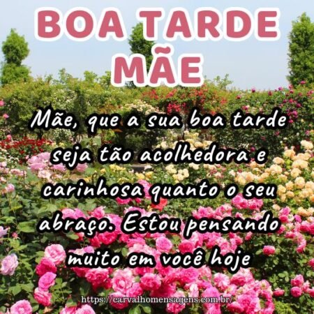 Mãe, que a sua boa tarde seja tão acolhedora e carinhosa quanto o seu abraço. Estou pensando muito em você hoje. Mãe, que a sua boa tarde seja tão acolhedora e carinhosa quanto o seu abraço. Estou pensando muito em você hoje.
