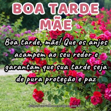 Boa tarde, mãe! Que os anjos acampem ao seu redor e garantam que sua tarde seja de pura proteção e paz. Boa tarde, mãe! Que os anjos acampem ao seu redor e garantam que sua tarde seja de pura proteção e paz.