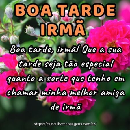 Boa tarde, irmã! Que a sua tarde seja tão especial quanto a sorte que tenho em chamar minha melhor amiga de irmã. Boa tarde, irmã! Que a sua tarde seja tão especial quanto a sorte que tenho em chamar minha melhor amiga de irmã.