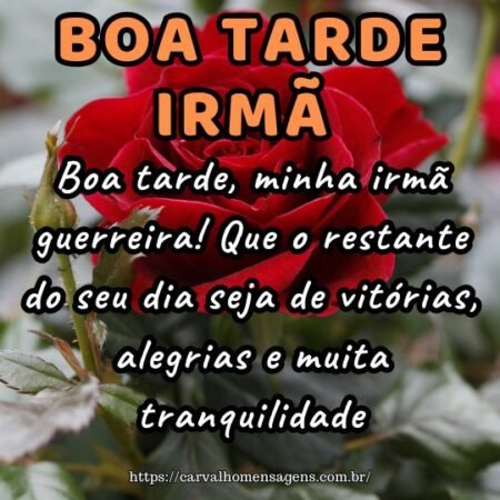 Boa tarde, minha irmã guerreira! Que o restante do seu dia seja de vitórias, alegrias e muita tranquilidade. Boa tarde, minha irmã guerreira! Que o restante do seu dia seja de vitórias, alegrias e muita tranquilidade.