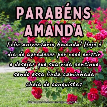 Feliz aniversário Amanda! Hoje é dia de agradecer por você existir e desejar que sua vida continue sendo essa linda caminhada cheia de conquistas. Feliz aniversário Amanda! Hoje é dia de agradecer por você existir e desejar que sua vida continue sendo essa linda caminhada cheia de conquistas.
