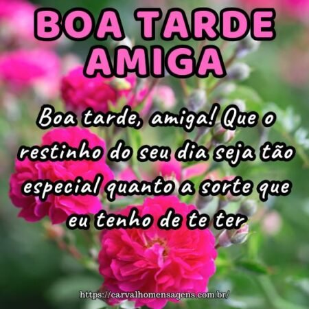 Boa tarde, amiga! Que o restinho do seu dia seja tão especial quanto a sorte que eu tenho de te ter. Boa tarde, amiga! Que o restinho do seu dia seja tão especial quanto a sorte que eu tenho de te ter.