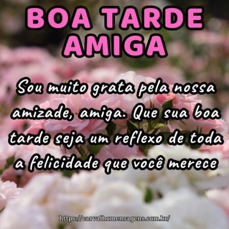 Sou muito grata pela nossa amizade, amiga. Que sua boa tarde seja um reflexo de toda a felicidade que você merece. Sou muito grata pela nossa amizade, amiga. Que sua boa tarde seja um reflexo de toda a felicidade que você merece.