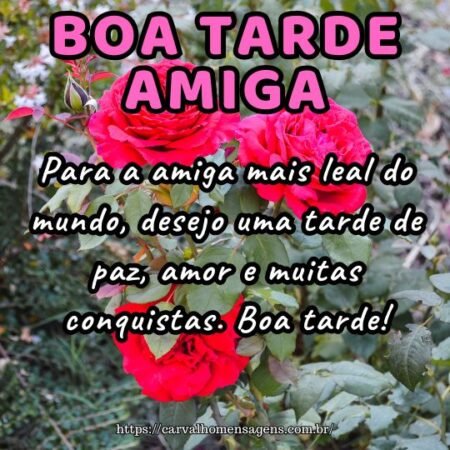 Para a amiga mais leal do mundo, desejo uma tarde de paz, amor e muitas conquistas. Boa tarde! Para a amiga mais leal do mundo, desejo uma tarde de paz, amor e muitas conquistas. Boa tarde!