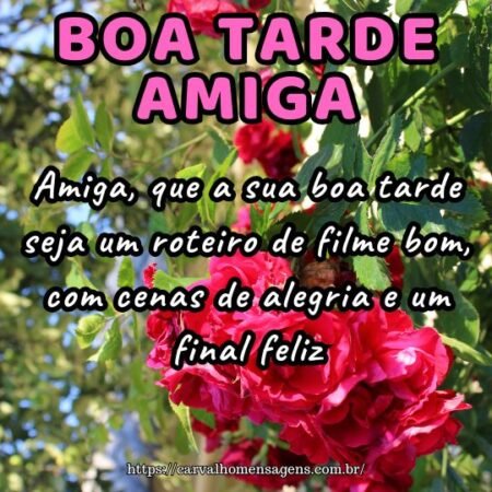 Amiga, que a sua boa tarde seja um roteiro de filme bom, com cenas de alegria e um final feliz. Amiga, que a sua boa tarde seja um roteiro de filme bom, com cenas de alegria e um final feliz.