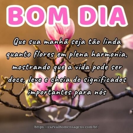 Que sua manhã seja tão linda quanto flores em plena harmonia, mostrando que a vida pode ser doce, leve e cheia de significados importantes para nós. Que sua manhã seja tão linda quanto flores em plena harmonia, mostrando que a vida pode ser doce, leve e cheia de significados importantes para nós.