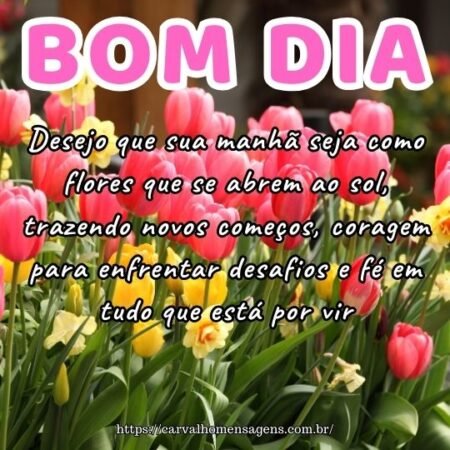 Desejo que sua manhã seja como flores que se abrem ao sol, trazendo novos começos, coragem para enfrentar desafios e fé em tudo que está por vir. Desejo que sua manhã seja como flores que se abrem ao sol, trazendo novos começos, coragem para enfrentar desafios e fé em tudo que está por vir.