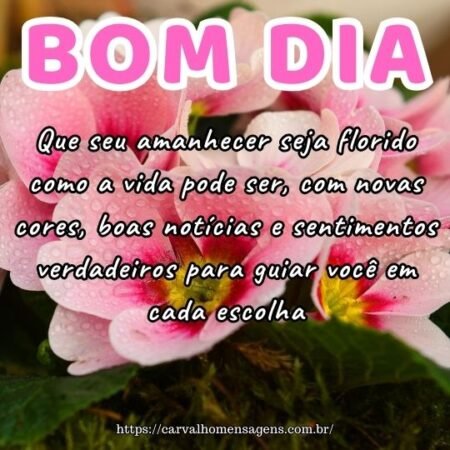 Que seu amanhecer seja florido como a vida pode ser, com novas cores, boas notícias e sentimentos verdadeiros para guiar você em cada escolha. Que seu amanhecer seja florido como a vida pode ser, com novas cores, boas notícias e sentimentos verdadeiros para guiar você em cada escolha.