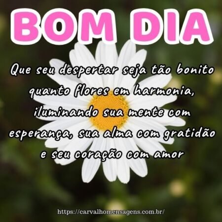 Que seu despertar seja tão bonito quanto flores em harmonia, iluminando sua mente com esperança, sua alma com gratidão e seu coração com amor. Que seu despertar seja tão bonito quanto flores em harmonia, iluminando sua mente com esperança, sua alma com gratidão e seu coração com amor.