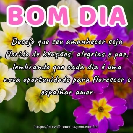 Desejo que seu amanhecer seja florido de bênçãos, alegrias e paz, lembrando que cada dia é uma nova oportunidade para florescer e espalhar amor. Desejo que seu amanhecer seja florido de bênçãos, alegrias e paz, lembrando que cada dia é uma nova oportunidade para florescer e espalhar amor.
