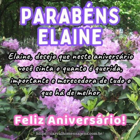 Elaine, desejo que neste aniversário você sinta o quanto é querida, importante e merecedora de tudo o que há de melhor. Elaine, desejo que neste aniversário você sinta o quanto é querida, importante e merecedora de tudo o que há de melhor.