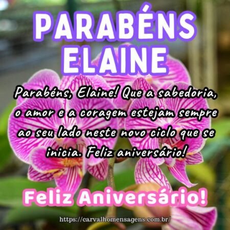 Parabéns, Elaine! Que a sabedoria, o amor e a coragem estejam sempre ao seu lado neste novo ciclo que se inicia. Feliz aniversário! Parabéns, Elaine! Que a sabedoria, o amor e a coragem estejam sempre ao seu lado neste novo ciclo que se inicia. Feliz aniversário!