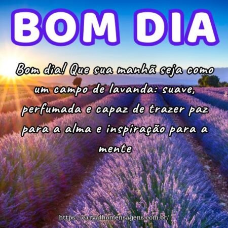 Bom dia! Que sua manhã seja como um campo de lavanda: suave, perfumada e capaz de trazer paz para a alma e inspiração para a mente. Bom dia! Que sua manhã seja como um campo de lavanda: suave, perfumada e capaz de trazer paz para a alma e inspiração para a mente.