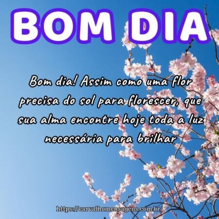 Bom dia! Assim como uma flor precisa do sol para florescer, que sua alma encontre hoje toda a luz necessária para brilhar. Bom dia! Assim como uma flor precisa do sol para florescer, que sua alma encontre hoje toda a luz necessária para brilhar.