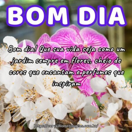 Bom dia! Que sua vida seja como um jardim sempre em flores, cheio de cores que encantam e perfumes que inspiram. Bom dia! Que sua vida seja como um jardim sempre em flores, cheio de cores que encantam e perfumes que inspiram.