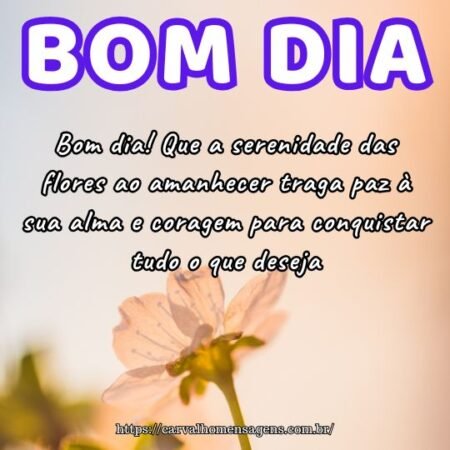 Bom dia! Que a serenidade das flores ao amanhecer traga paz à sua alma e coragem para conquistar tudo o que deseja. Bom dia! Que a serenidade das flores ao amanhecer traga paz à sua alma e coragem para conquistar tudo o que deseja.