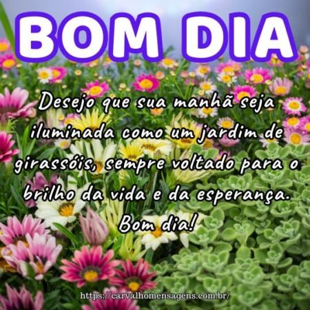 Desejo que sua manhã seja iluminada como um jardim de girassóis, sempre voltado para o brilho da vida e da esperança. Bom dia! Desejo que sua manhã seja iluminada como um jardim de girassóis, sempre voltado para o brilho da vida e da esperança. Bom dia!