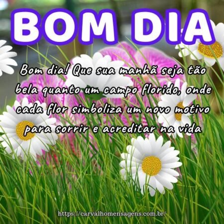 Bom dia! Que sua manhã seja tão bela quanto um campo florido, onde cada flor simboliza um novo motivo para sorrir e acreditar na vida. Bom dia! Que sua manhã seja tão bela quanto um campo florido, onde cada flor simboliza um novo motivo para sorrir e acreditar na vida.