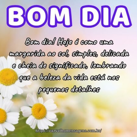 Bom dia! Hoje é como uma margarida ao sol, simples, delicada e cheia de significado, lembrando que a beleza da vida está nos pequenos detalhes. Bom dia! Hoje é como uma margarida ao sol, simples, delicada e cheia de significado, lembrando que a beleza da vida está nos pequenos detalhes.