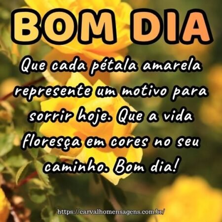 Que cada pétala amarela represente um motivo para sorrir hoje. Que a vida floresça em cores no seu caminho. Bom dia! Que cada pétala amarela represente um motivo para sorrir hoje. Que a vida floresça em cores no seu caminho. Bom dia!