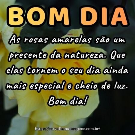 As rosas amarelas são um presente da natureza. Que elas tornem o seu dia ainda mais especial e cheio de luz. Bom dia! As rosas amarelas são um presente da natureza. Que elas tornem o seu dia ainda mais especial e cheio de luz. Bom dia!