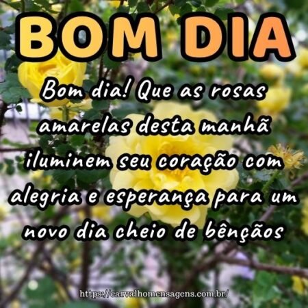 Bom dia! Que as rosas amarelas desta manhã iluminem seu coração com alegria e esperança para um novo dia cheio de bênçãos. Bom dia! Que as rosas amarelas desta manhã iluminem seu coração com alegria e esperança para um novo dia cheio de bênçãos.