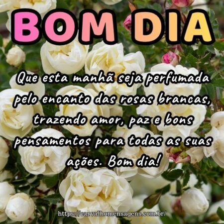 Que esta manhã seja perfumada pelo encanto das rosas brancas, trazendo amor, paz e bons pensamentos para todas as suas ações. Bom dia!