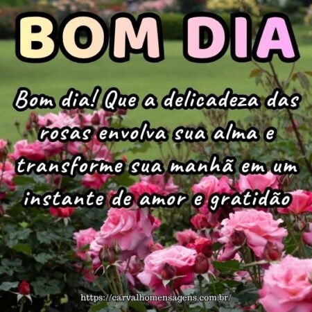 Bom dia! Que a delicadeza das rosas envolva sua alma e transforme sua manhã em um instante de amor e gratidão.
