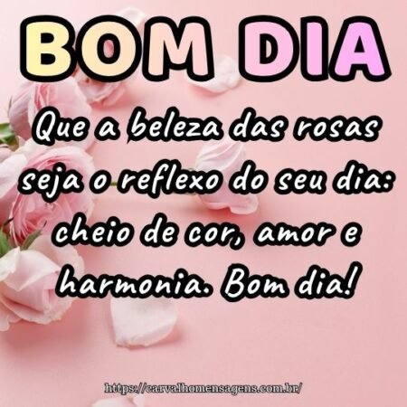 Que a beleza das rosas seja o reflexo do seu dia: cheio de cor, amor e harmonia. Bom dia!