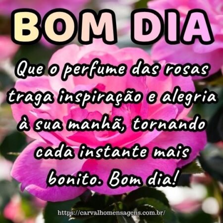 Que o perfume das rosas traga inspiração e alegria à sua manhã, tornando cada instante mais bonito. Bom dia!
