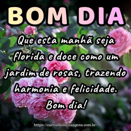 Que esta manhã seja florida e doce como um jardim de rosas, trazendo harmonia e felicidade. Bom dia!