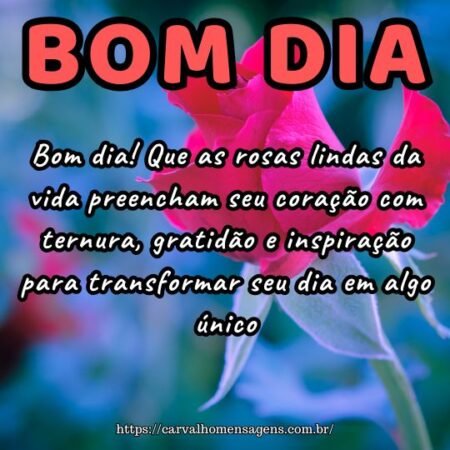 Bom dia! Que as rosas lindas da vida preencham seu coração com ternura, gratidão e inspiração para transformar seu dia em algo único.