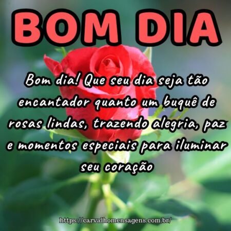 Bom dia! Que seu dia seja tão encantador quanto um buquê de rosas lindas, trazendo alegria, paz e momentos especiais para iluminar seu coração.