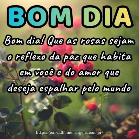 Bom dia! Que as rosas sejam o reflexo da paz que habita em você e do amor que deseja espalhar pelo mundo.