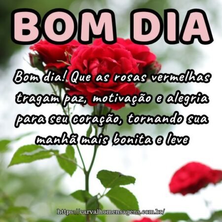 Bom dia! Que as rosas vermelhas tragam paz, motivação e alegria para seu coração, tornando sua manhã mais bonita e leve.