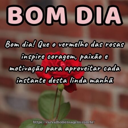 Bom dia! Que o vermelho das rosas inspire coragem, paixão e motivação para aproveitar cada instante desta linda manhã.