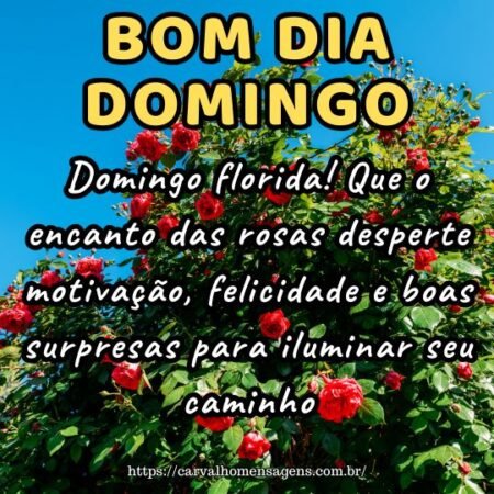 Domingo florida! Que o encanto das rosas desperte motivação, felicidade e boas surpresas para iluminar seu caminho.