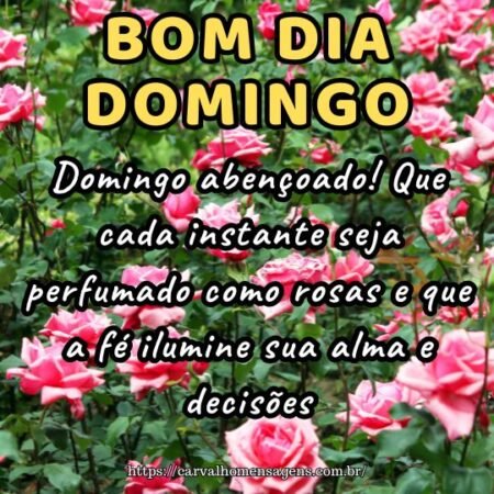 Domingo abençoado! Que cada instante seja perfumado como rosas e que a fé ilumine sua alma e decisões.