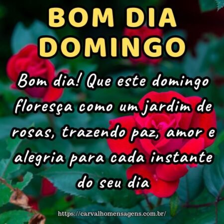 Bom dia! Que este domingo floresça como um jardim de rosas, trazendo paz, amor e alegria para cada instante do seu dia.