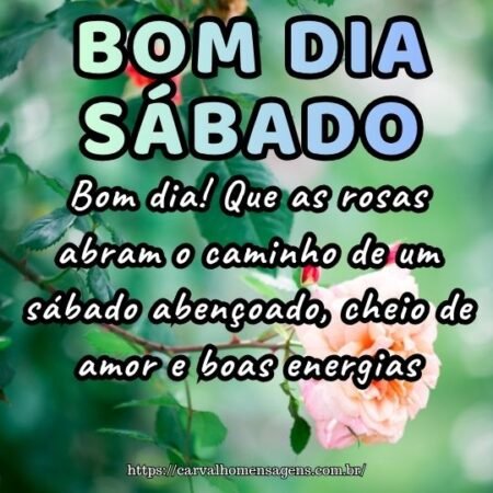 Bom dia! Que as rosas abram o caminho de um sábado abençoado, cheio de amor e boas energias. Bom dia! Que as rosas abram o caminho de um sábado abençoado, cheio de amor e boas energias.