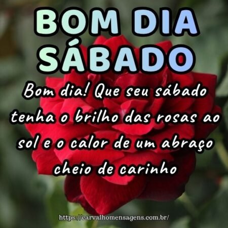 Bom dia! Que seu sábado tenha o brilho das rosas ao sol e o calor de um abraço cheio de carinho. Bom dia! Que seu sábado tenha o brilho das rosas ao sol e o calor de um abraço cheio de carinho.