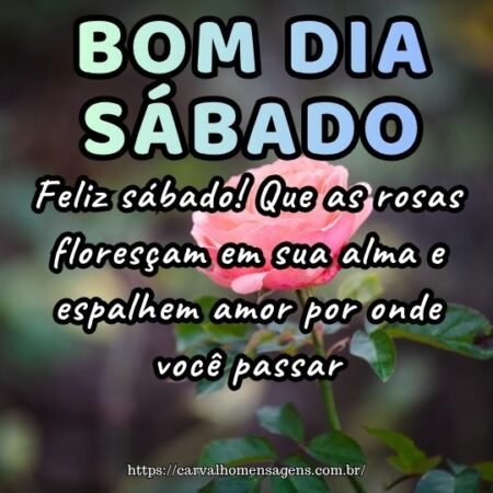 Feliz sábado! Que as rosas floresçam em sua alma e espalhem amor por onde você passar. Feliz sábado! Que as rosas floresçam em sua alma e espalhem amor por onde você passar.