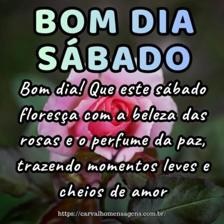 Bom dia! Que este sábado floresça com a beleza das rosas e o perfume da paz, trazendo momentos leves e cheios de amor. Bom dia! Que este sábado floresça com a beleza das rosas e o perfume da paz, trazendo momentos leves e cheios de amor.