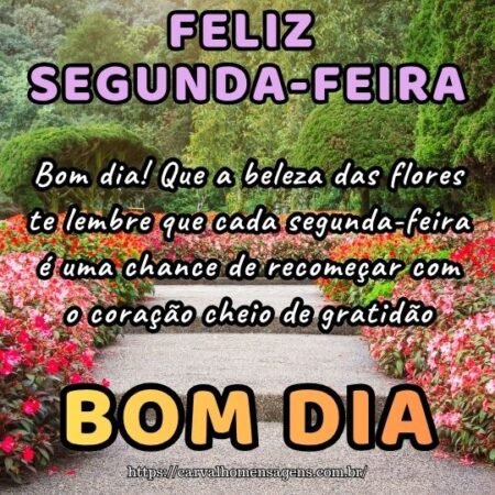 Bom dia! Que a beleza das flores te lembre que cada segunda-feira é uma chance de recomeçar com o coração cheio de gratidão.