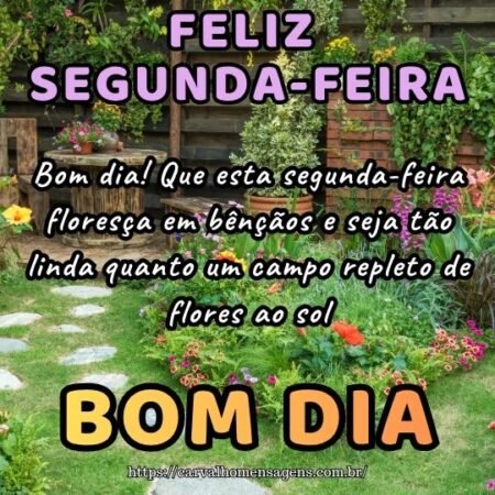Bom dia! Que esta segunda-feira floresça em bênçãos e seja tão linda quanto um campo repleto de flores ao sol.