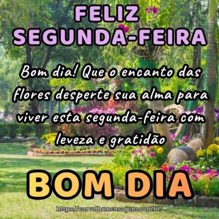 Bom dia! Que o encanto das flores desperte sua alma para viver esta segunda-feira com leveza e gratidão.