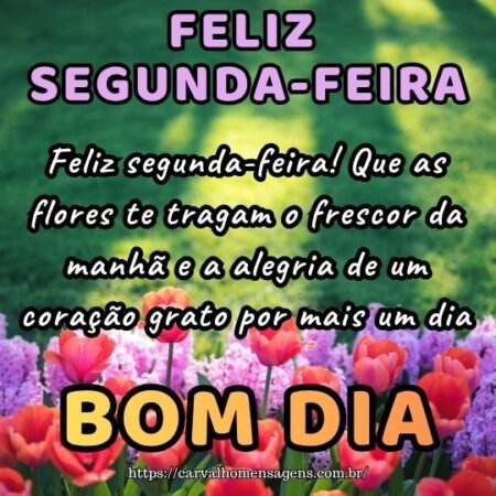 Feliz segunda-feira! Que as flores te tragam o frescor da manhã e a alegria de um coração grato por mais um dia.