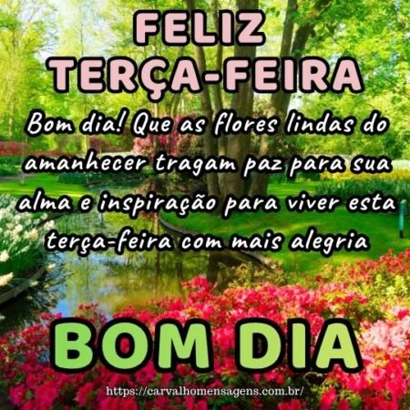 Bom dia! Que as flores lindas do amanhecer tragam paz para sua alma e inspiração para viver esta terça-feira com mais alegria.